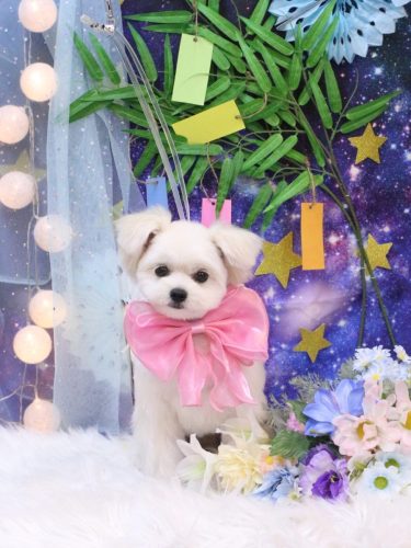 20250703ちゃむちゃん